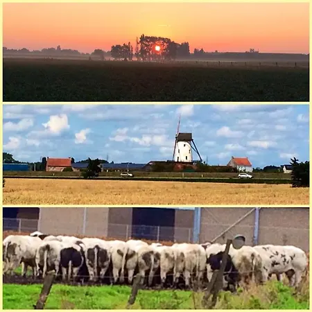 Col Del Vino Wevelgem